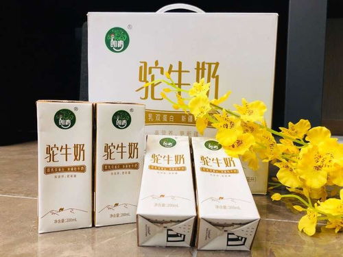 新疆朗青乳品 生物科技赋能民族乳业的创新之路